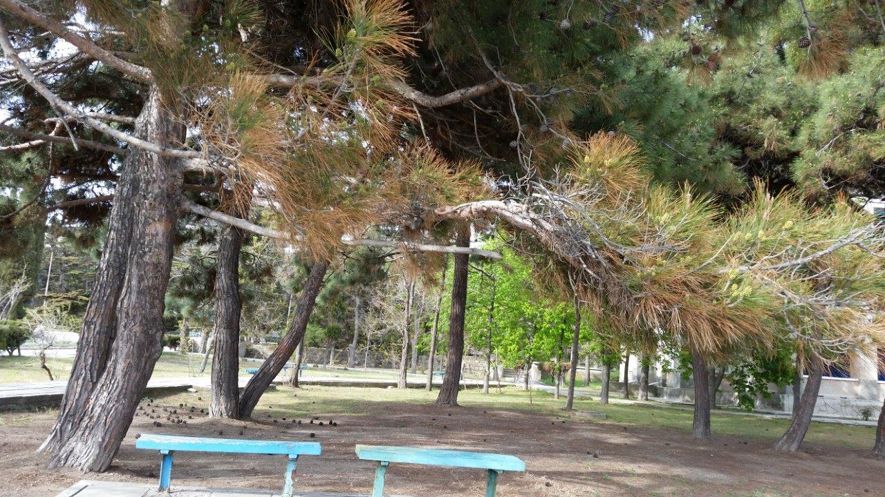 20160423 163814